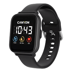 Canyon SW-78 / CNS-SW78BB