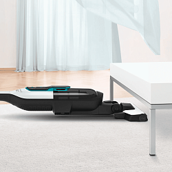 Naqilsiz tozsoran Bosch BCH86HYG1